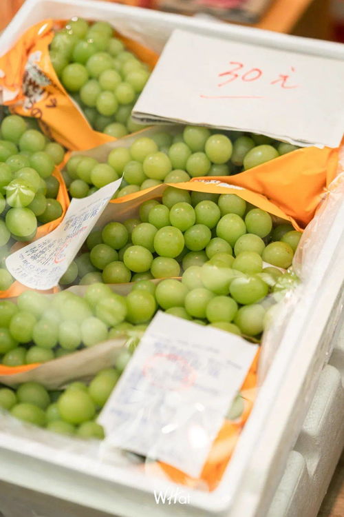 3万步丈量江城果香，三大果批市场助你实现新年水果自由