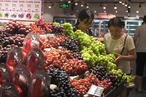 8月社会消费品零售总额增速放缓至3.4%，新鲜水果零售成亮点