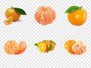 新鲜实物橘子水果海报设计 PNG素材模板下载指南与大全